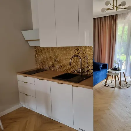 Baltic Waves Baseny Bawialnia Silownia Garaz W Cenie